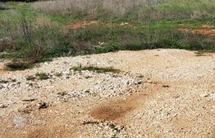 Land plot 771 m² in Barban for 46,000 €