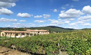 Farm 2,745 m² in Massa Marittima for 28,000,000 €