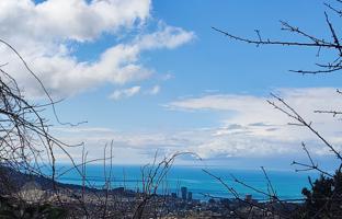 Land plot 13,500 m² in Batumi for $945,000