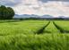 Investment land in Greve in Chianti for 6,500,000 €