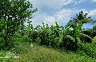 Land plot 6,800 m² in Lombok for $273,000