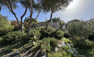 8-room apartment 200 m² in Province of Lecce. Price on request