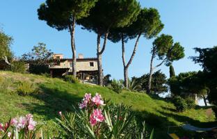 Land plot 777 m² in Suvereto for 1,400,000 €