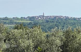 Land plot 551 m² in Buje for 199,000 €