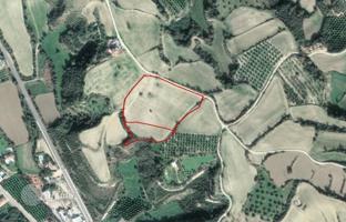 Land plot 16,724 m² in Paphos for 460,000 €