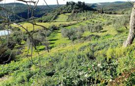 Massa Marittima (Grosseto) — Tuscany — Farm/Agricultural Land for sale for 800,000 €