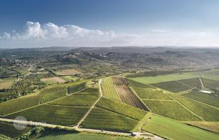 Land plot 500 m² in Brtonigla for 200,000 €