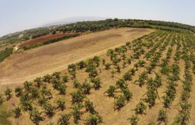 Land plot with a vineyard near the beach in Horafakia, Crete, Greece for 115,000 €