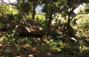 Land plot in Praslin for $175,000