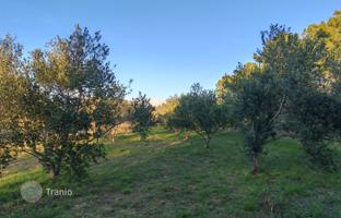 Land plot 1,000 m² in Vrsi for 150,000 €
