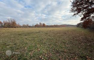 Land plot 14,824 m² in Porec for 119,000 €