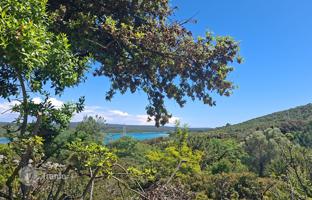 Land plot 2,160 m² in Osor for 63,000 €
