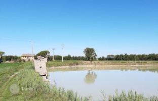 Land plot in Castiglione del Lago for 1,300,000 €