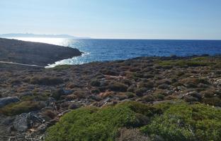 Land plot 12,229 m² in Stavros for 1,800,000 €