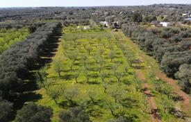 A dwelling to be completed surrounded by greenery for 550,000 €