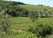 Investment land in Montalcino for 6,000,000 €