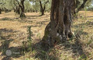 Land plot 22,544 m² in Brtonigla for 230,000 €