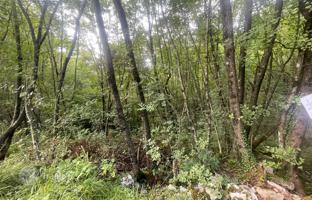 Land plot 10,317 m² in Primorje-Gorski Kotar County for 40,000 €