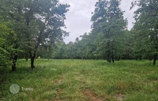 Land plot 9,646 m² in Istria County for 100,000 €