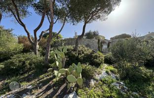 8-room apartment 200 m² in Province of Lecce. Price on request