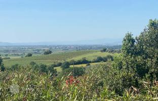 4-bedroom villa 160 m² in Magliano In Toscana for 800,000 €