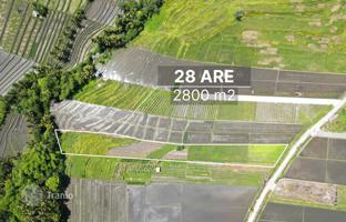 Land plot 2,800 m² in Tabanan for $633,000