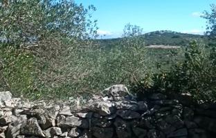 Land plot 1,367 m² in Kali for 40,000 €