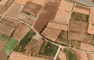 Land plot 7,913 m² in Mandria for 650,000 €