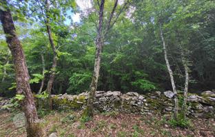 Land plot 3,445 m² in Barban for 90,000 €