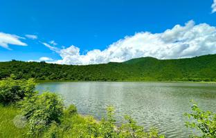 Land plot 30,000 m² in Kakheti for $1,700,000