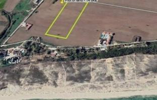 Land plot 14,121 m² in Shkorpilovtsi for 863,000 €