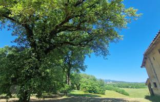 Farm 1,348 m² in Montevarchi for 1,970,000 €