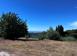 Investment land in Marbella for 4,500,000 €