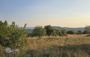 Land plot 6,758 m² in Istria County for 192,000 €