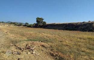 Land plot 7,024 m² in Argaka for 421,000 €