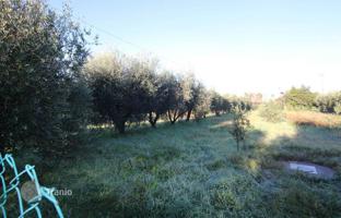 12-bedroom apartment 700 m² in Castagneto Carducci for 950,000 €