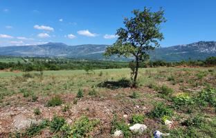 Land plot 22,261 m² in Labin for 500,000 €