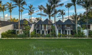 Complex of villas with a restaurant, Ubud, Bali, Indonesia for From $390,000