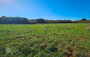 Land plot 40,000 m² in Marcana for 400,000 €