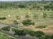 Investment land 19,000 m² in Dortmund for $14,351,000