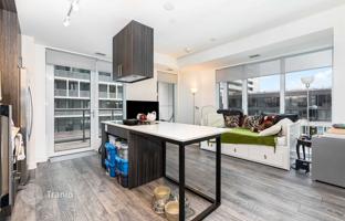 5-bedroom apartment in Sumach Street for C$924,000