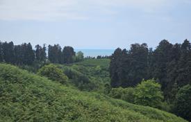 Beautiful plot of land for non-agricultural purposes overlooking the botanical garden and the Black Sea for $230,000