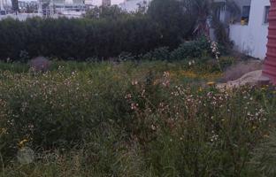 Land plot 279 m² in Aglantzia for 140,000 €