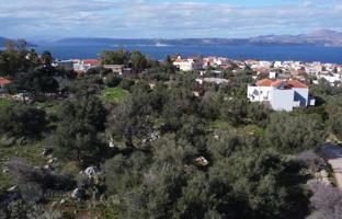 Land plot 4,790 m² in Kokkino Chorio for 285,000 €
