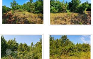 Land plot 11,259 m² in Istria County for 50,000 €
