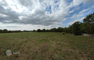 Land plot 9,964 m² in Filipana for 168,000 €