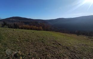 Land plot 1,965 m² in Istria County for 185,000 €