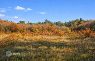 Land plot 6,758 m² in Savudrija. Price on request