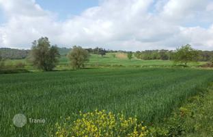 Land plot 591 m² in Gavorrano for 950,000 €
