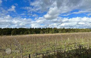 Land plot 310 m² in Grosseto (city) for 1,300,000 €